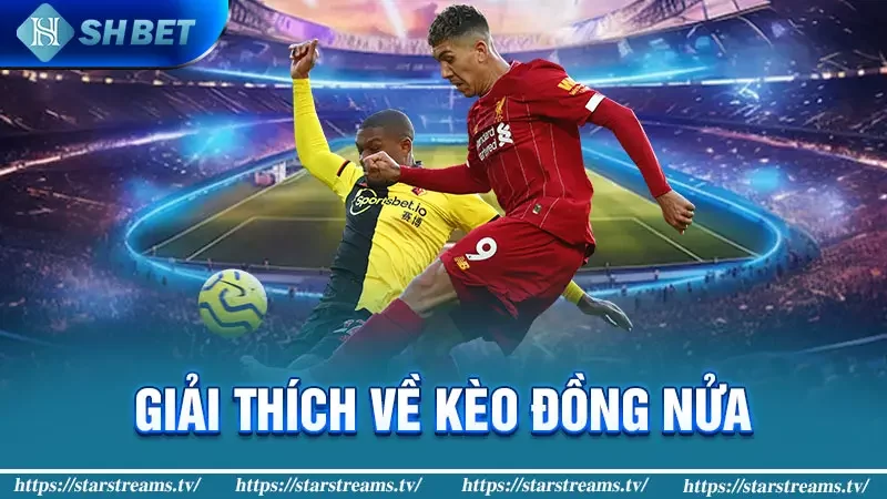 Kèo Đồng Nửa Là Gì? Cách Thức Đặt Cược Ăn Tiền Khủng 1 Giải thích về kèo đồng nửa