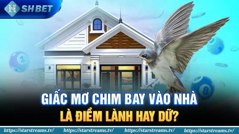 Giải Mã Giấc Mơ Chim Bay Vào Nhà Là Điềm Gì? 1 Mơ chim bay vào nhà là điềm lành hay dữ?