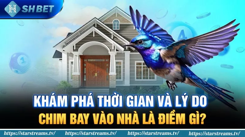 Giải Mã Giấc Mơ Chim Bay Vào Nhà Là Điềm Gì? 3 Thời gian và lý do chim bay vào nhà